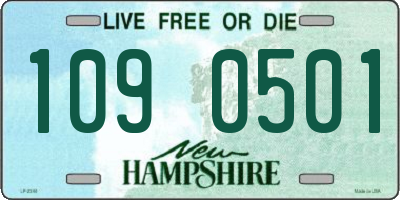 NH license plate 1090501