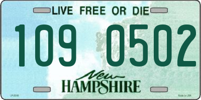 NH license plate 1090502