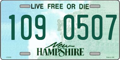 NH license plate 1090507