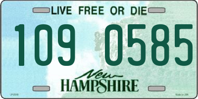 NH license plate 1090585