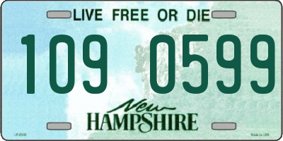 NH license plate 1090599
