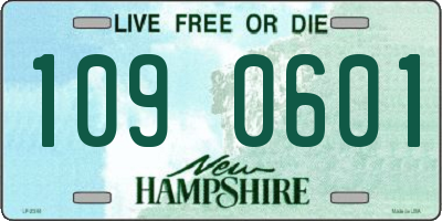 NH license plate 1090601