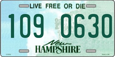 NH license plate 1090630