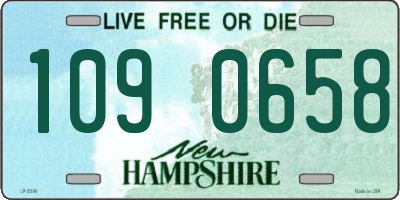 NH license plate 1090658