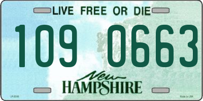 NH license plate 1090663