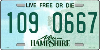 NH license plate 1090667