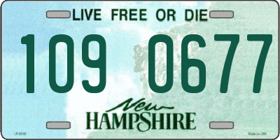 NH license plate 1090677