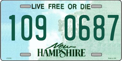 NH license plate 1090687