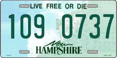 NH license plate 1090737