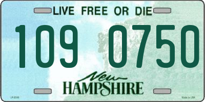 NH license plate 1090750