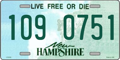 NH license plate 1090751