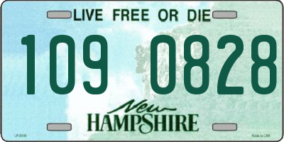 NH license plate 1090828