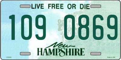 NH license plate 1090869