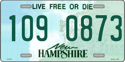 NH license plate 1090873