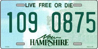NH license plate 1090875