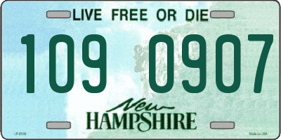 NH license plate 1090907
