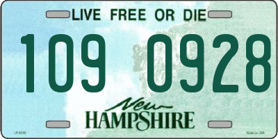 NH license plate 1090928