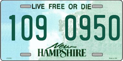 NH license plate 1090950