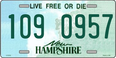 NH license plate 1090957