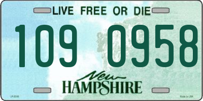 NH license plate 1090958