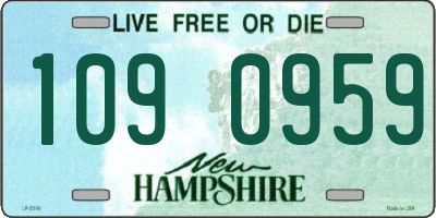 NH license plate 1090959