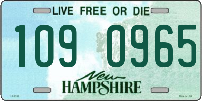 NH license plate 1090965