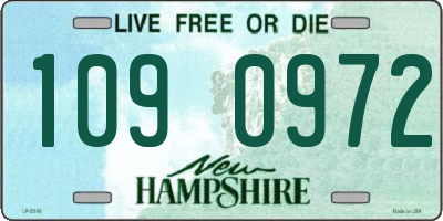 NH license plate 1090972