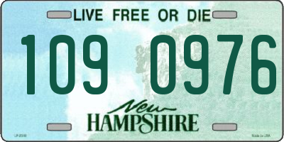 NH license plate 1090976