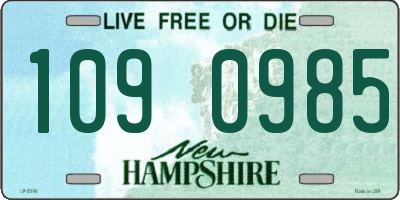 NH license plate 1090985