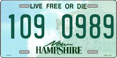 NH license plate 1090989
