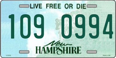 NH license plate 1090994