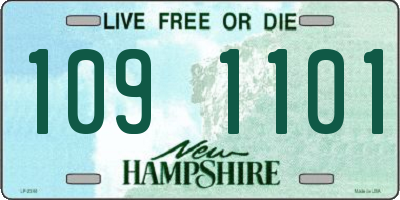 NH license plate 1091101
