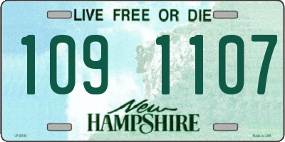 NH license plate 1091107