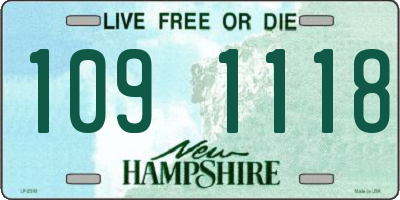 NH license plate 1091118