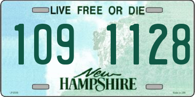 NH license plate 1091128