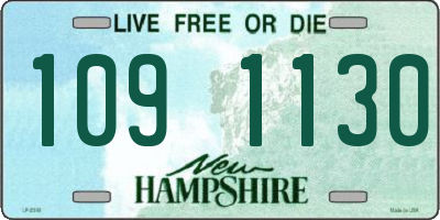 NH license plate 1091130