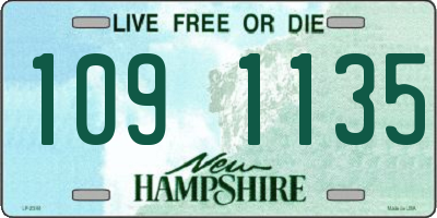 NH license plate 1091135