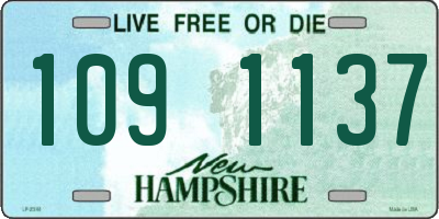 NH license plate 1091137