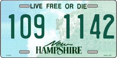 NH license plate 1091142