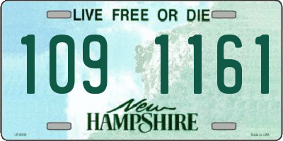 NH license plate 1091161