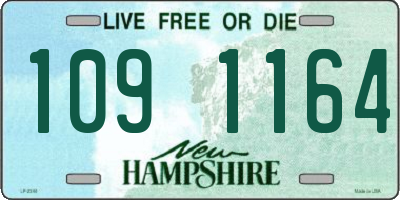 NH license plate 1091164