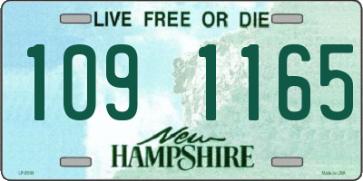 NH license plate 1091165