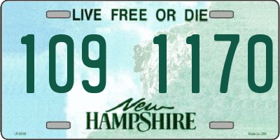 NH license plate 1091170
