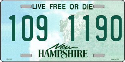 NH license plate 1091190