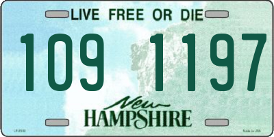 NH license plate 1091197