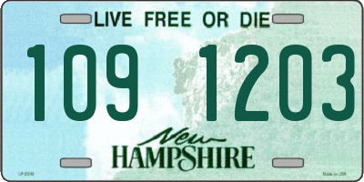 NH license plate 1091203