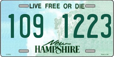 NH license plate 1091223