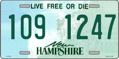 NH license plate 1091247