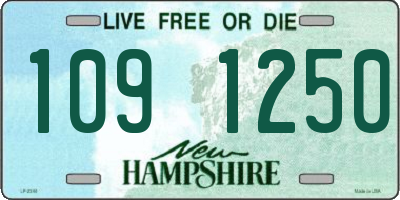 NH license plate 1091250