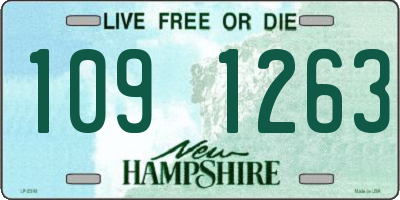 NH license plate 1091263